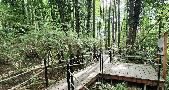 Orfű Tanösvény referencia, fémszerkezet gyártás, Lukács Vas Baranya